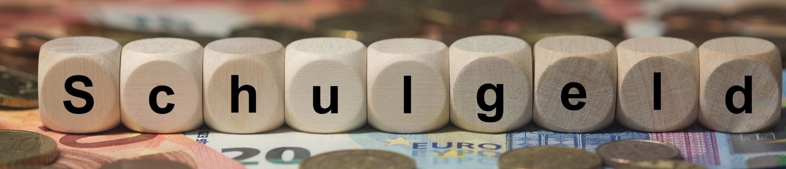 Informationen zum Schulgeld